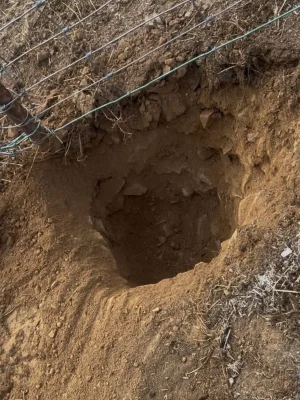 cerramientos-mallas-forestales-jardineria-1