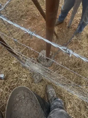cerramientos-mallas-forestales-jardineria-5