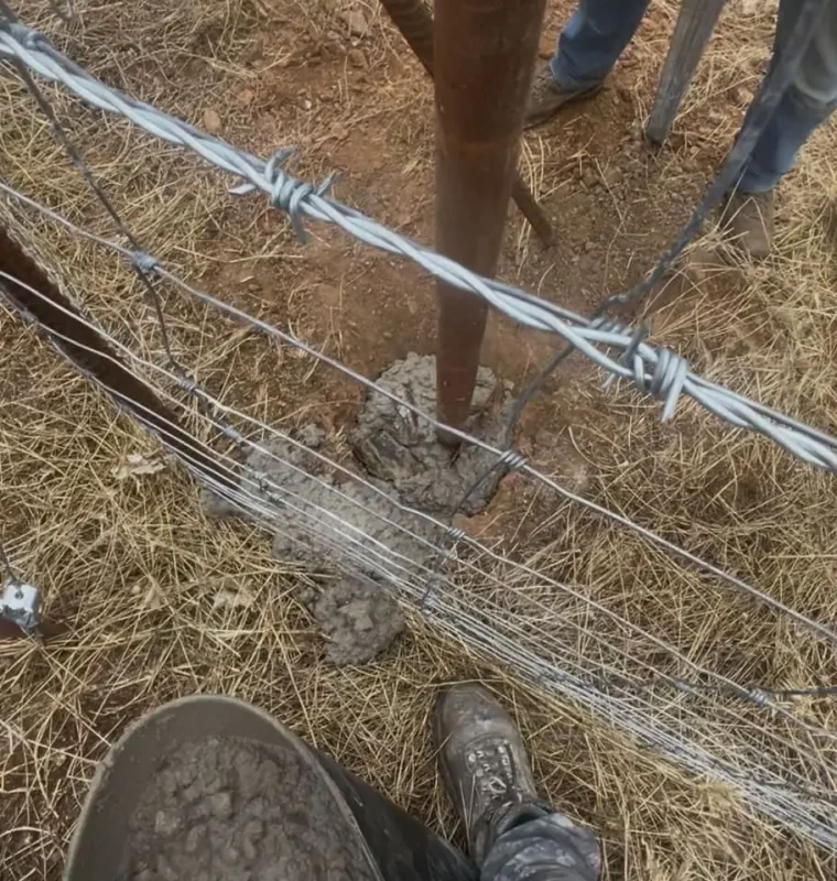 cerramientos-mallas-forestales-jardineria-5