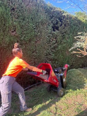 d90c810d-e3b6-4ee7-a36a-8893160d10c5