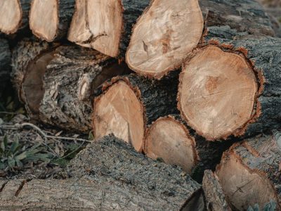 lena-trabajos-forestales-jardineria-5