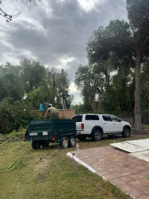 poda-trabajos-forestales-jardineria-3