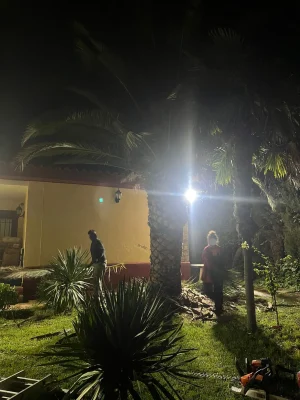 poda-trabajos-forestales-jardineria-4