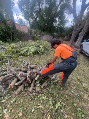 poda-trabajos-forestales-jardineria-6