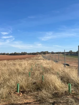 reforestaciones-trabajos-forestales-jardineria-1