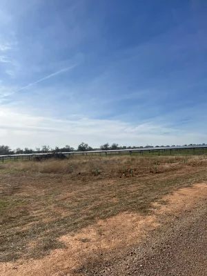 reforestaciones-trabajos-forestales-jardineria-2