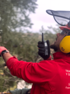 sba-trabajos-forestales-jardineria-santiago-3