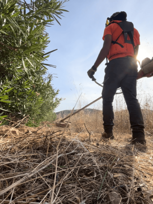 sba-trabajos-forestales-jardineria-santiago-desbroces
