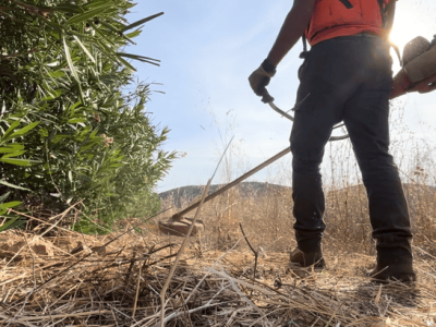 sba-trabajos-forestales-jardineria-santiago-desbroces
