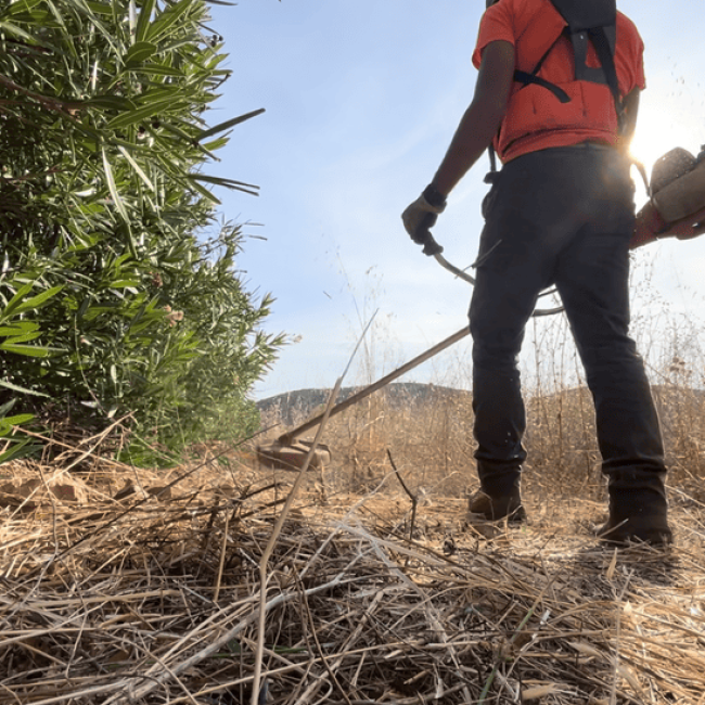 sba-trabajos-forestales-jardineria-santiago-desbroces