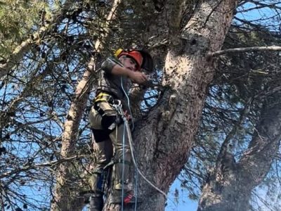 sba-trabajos-forestales-jardineria-santiago-poda-altura
