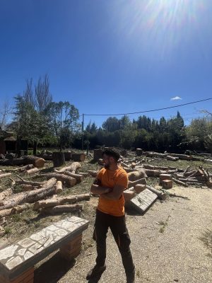 sba-trabajos-forestales-jardineria-santiago